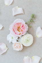 Load image into Gallery viewer, Blush and Cream: Styling Blooms / Cake Florals