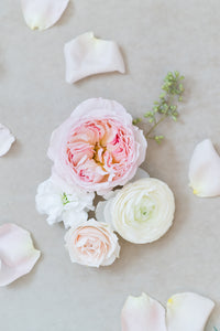 Blush and Cream: Styling Blooms / Cake Florals