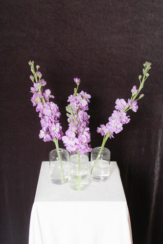 Purple Passion: Bud Vase Set