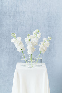 Classic White: Bud Vase Set