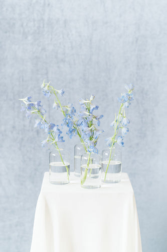 Something Blue: Bud Vase Set