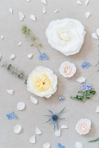 Something Blue: Styling Blooms / Cake Florals